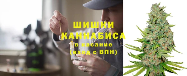 гашик Кодинск