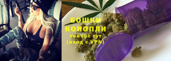 сатива Киреевск
