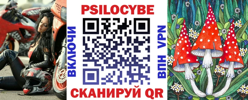 кракен ТОР  Шенкурск  Галлюциногенные грибы Psilocybine cubensis 