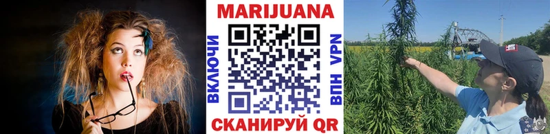 Бошки Шишки OG Kush  кракен вход  Шенкурск 